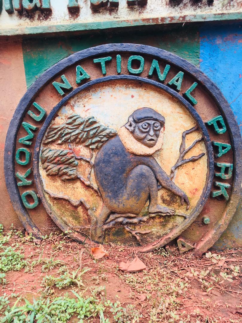 Okimu Rwanda OKOMU NATIONAL PARK – Hospitality And Tourism